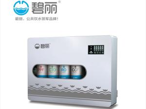 汤阴热销:碧丽RO反渗透纯水机·RO-85纯净水机